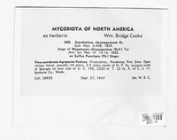 Image Associated With the Occurence